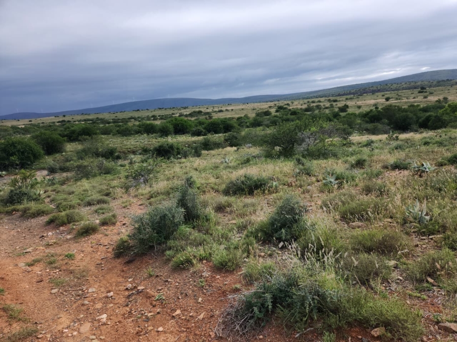 Commercial Property for Sale in Somerset East Rural Eastern Cape